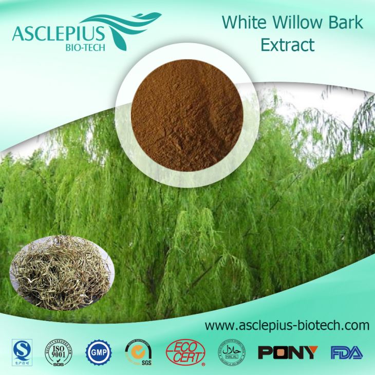 White Willow Bark Extract Powder ,salicin Supplier Wholesale