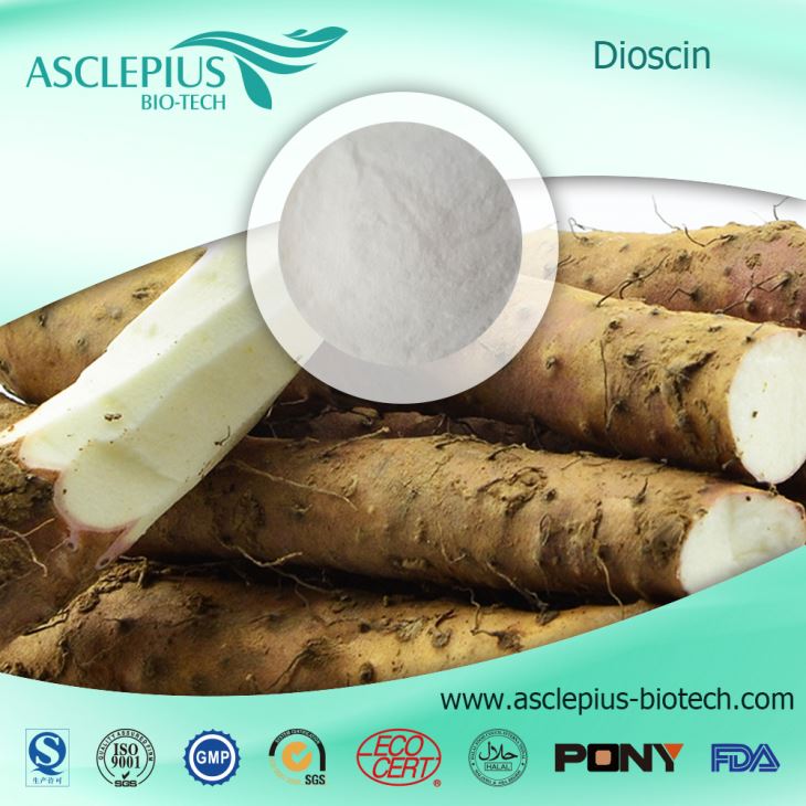 Wild Yam Root Extract Powder, The Active Ingrediants Are Diosgenin,dioscin 95% Supplier Wholesale