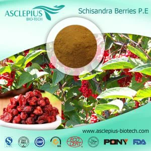 عمده فروشی پودر عصاره Schisandra Chinensis